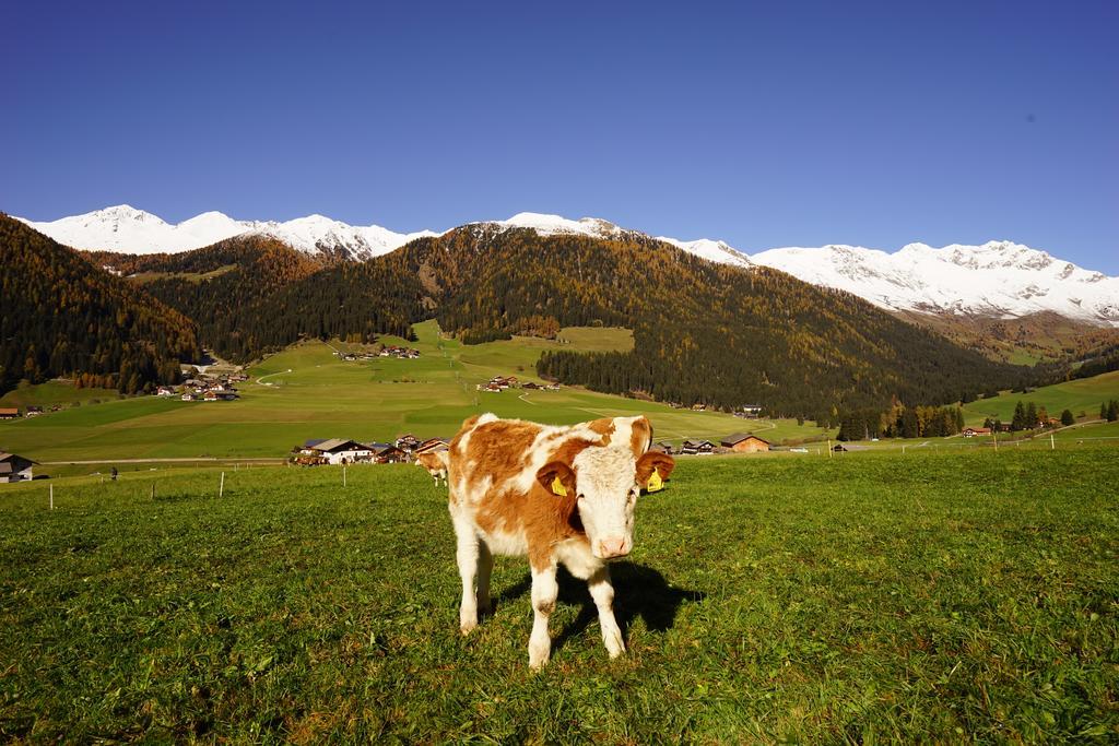 Unterhabererhof Appartement Santa Maddalena in Casies Buitenkant foto