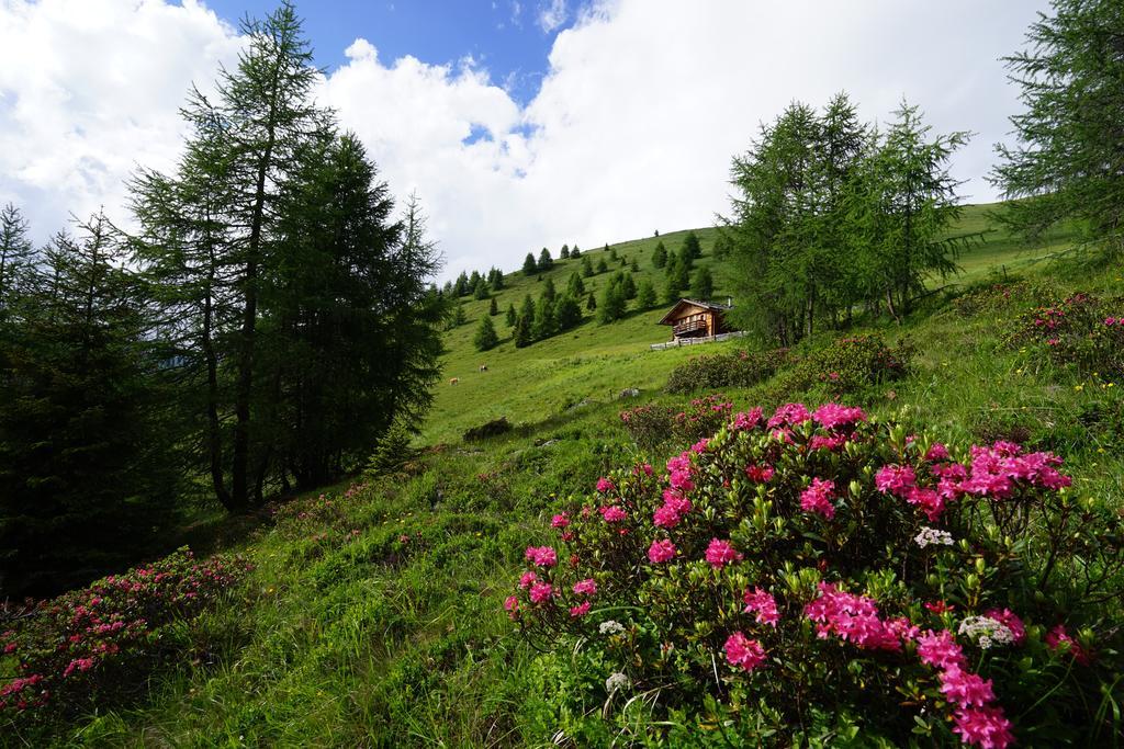 Unterhabererhof Appartement Santa Maddalena in Casies Buitenkant foto