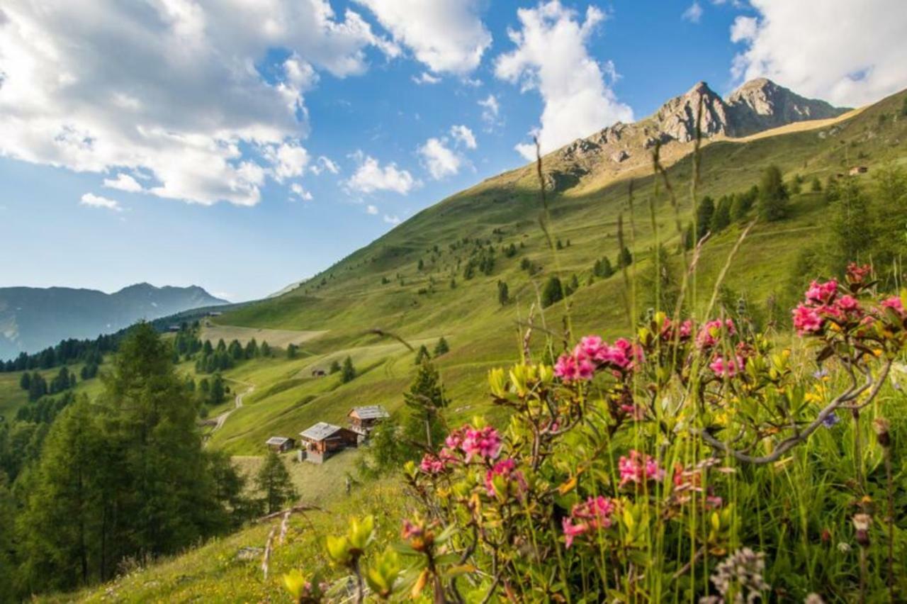 Unterhabererhof Appartement Santa Maddalena in Casies Buitenkant foto