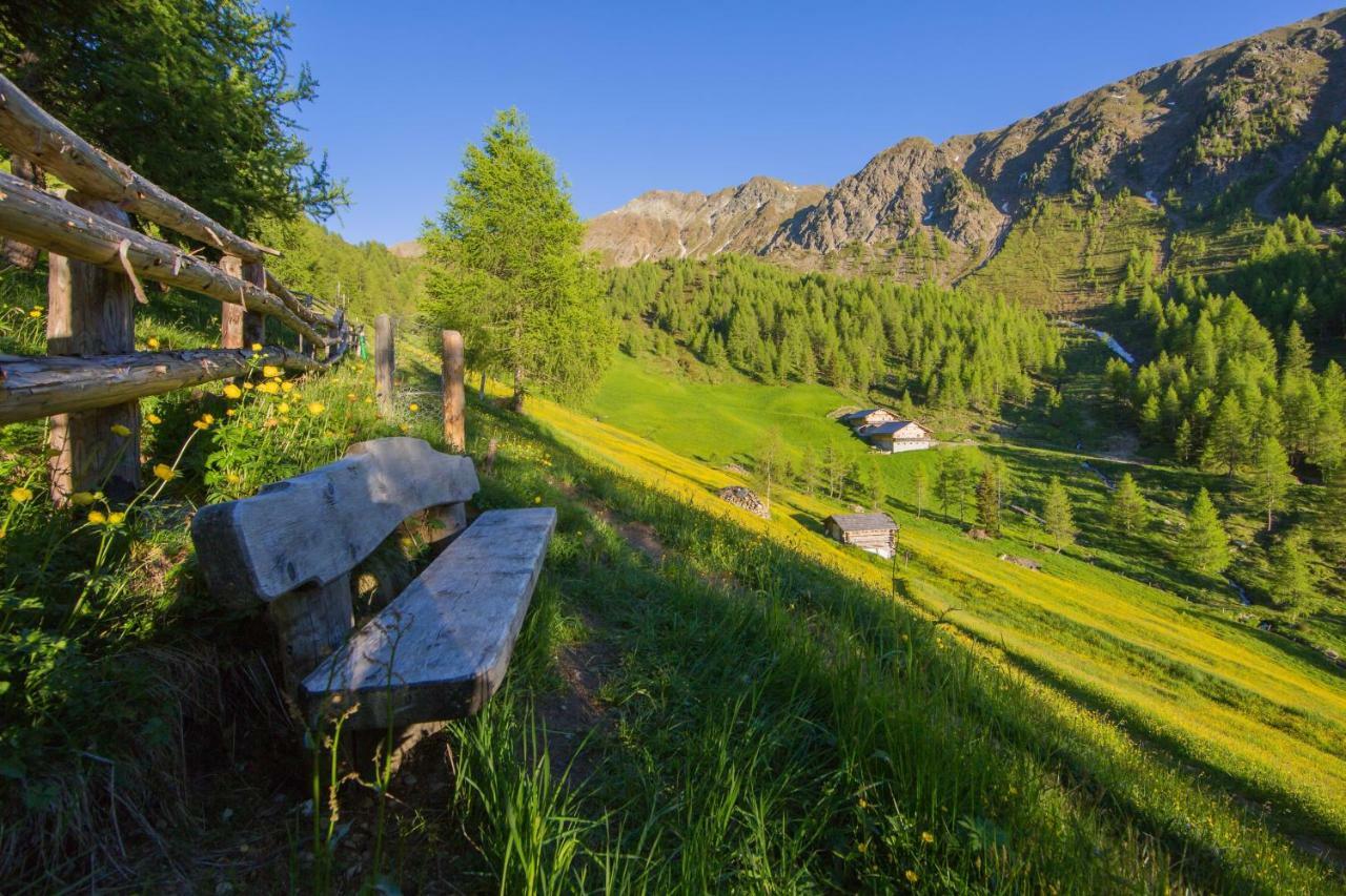 Unterhabererhof Appartement Santa Maddalena in Casies Buitenkant foto